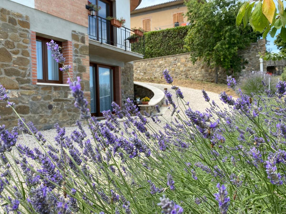 Podere Belsogno Apartment *