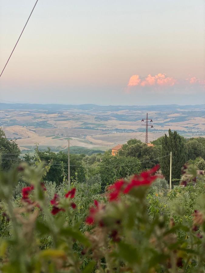 Podere Belsogno Montalcino