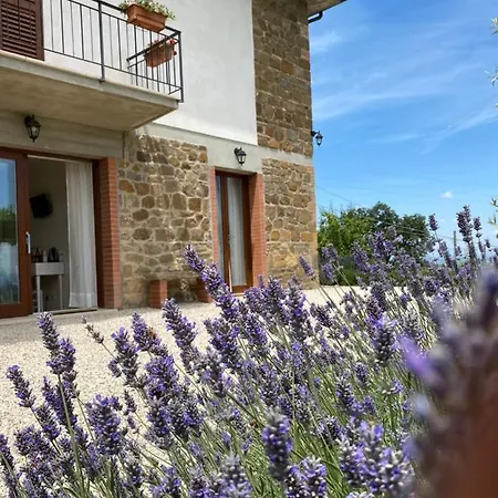Podere Belsogno Montalcino Exterior photo
