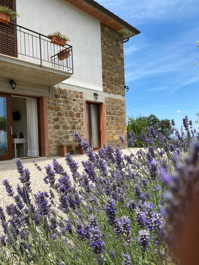 Apartment Podere Belsogno *